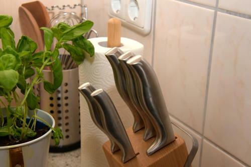 Apartamento Strandrose
