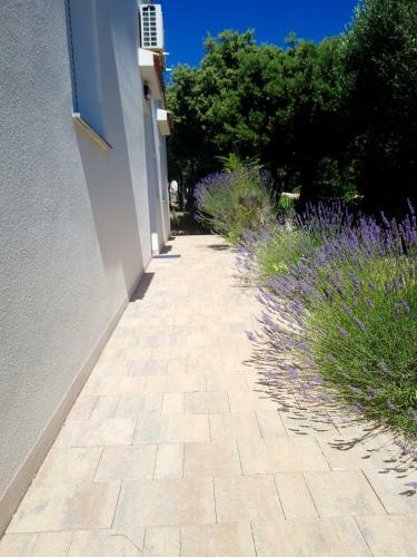 Lavender House