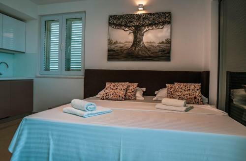Luxury Apartments White Villa Violeta
