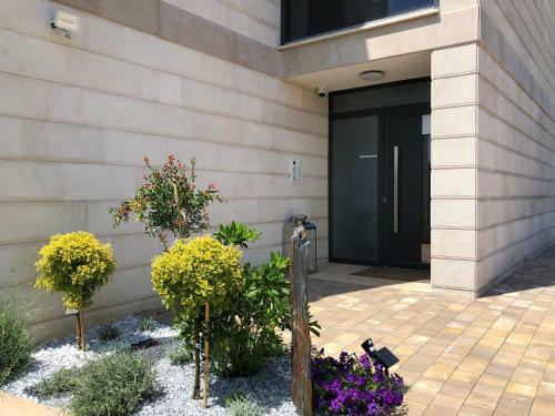 Luxury Apartments White Villa Violeta