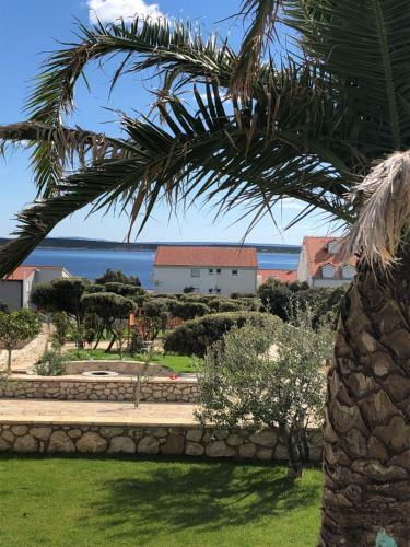 Luxury Apartments White Villa Violeta