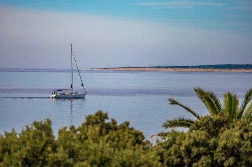 Apartments Cathy - 50m From The Beach