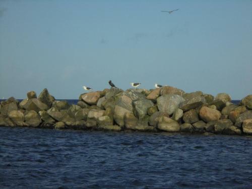 Apartamento Ostseemuschel