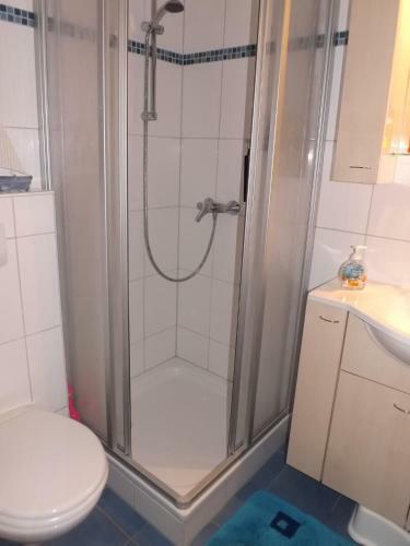 Ferienhaus Delphin, Damp