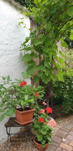 Apartamento Appartement Gartenblick