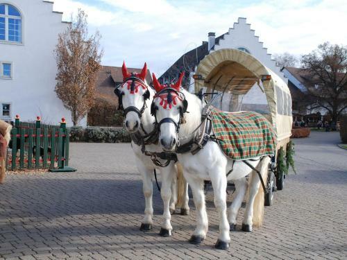 Hotel Hofgut Albf�hren