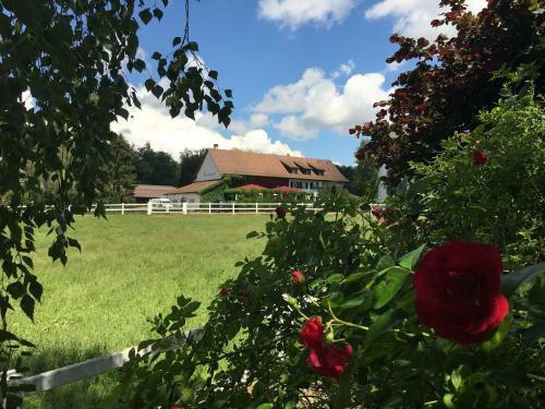 Hotel Hofgut Albf�hren
