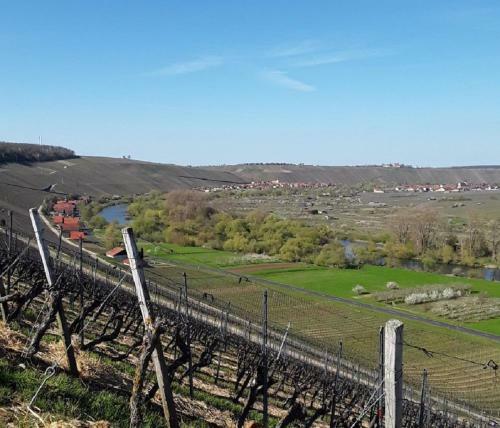 Apartamento Ferienwohnung - Zimmervermietung Ringelmann