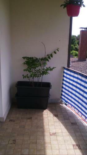 Apartamento Bed&breakfast Amaryllis