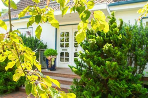 Apartamento Haus-wiwibarg-og