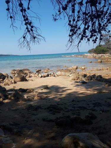 Villa Topesa Molat