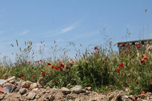 Hostal Rooms By The Sea Metajna, Pag - 6487