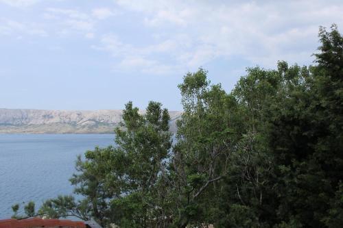 Apartments By The Sea Metajna, Pag - 6425