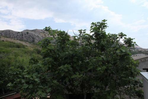 Apartments By The Sea Metajna, Pag - 6425