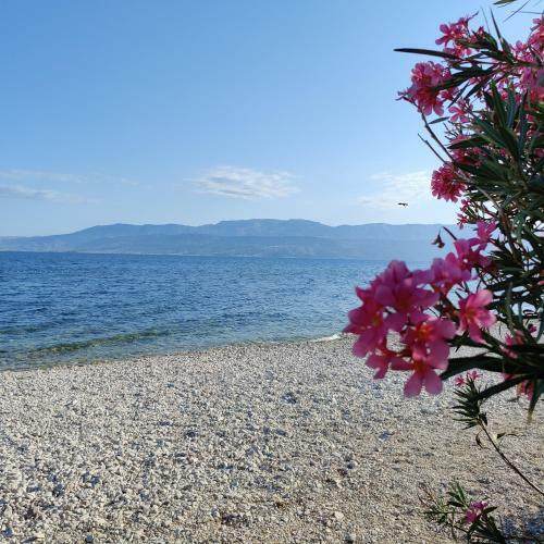 Apartamento Villa M�ria Marta