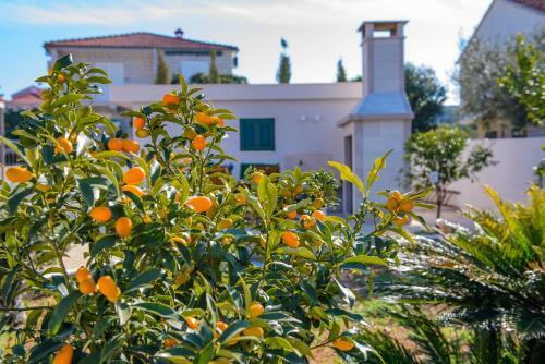 Apartamento Villa M�ria Marta