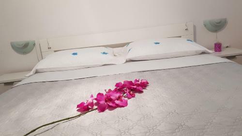 Ruzica Apartments