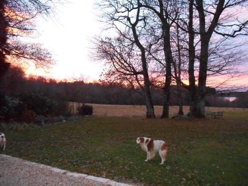 Bed & Breakfast Domaine Esperou