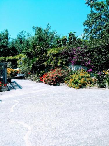 B&B Corsica Fiurita