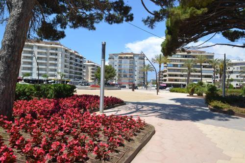 Apartamento Wvp - Turquesa