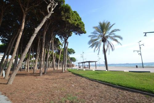 Apartamento Wvp - Turquesa