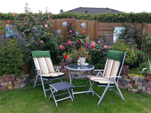 Apartamento G�stehaus Zur Seem�we, Fewo 3 "krabbe"