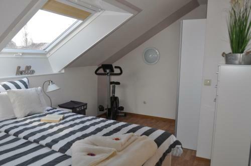 Apartamento G�stehaus Zur Seem�we, Fewo 3 "krabbe"
