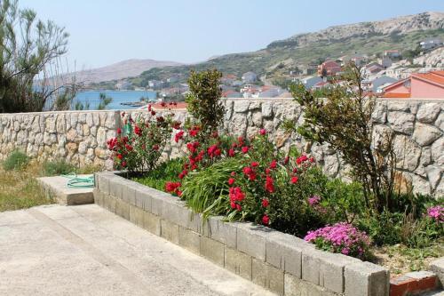 Apartamentos Studio Metajna 208b