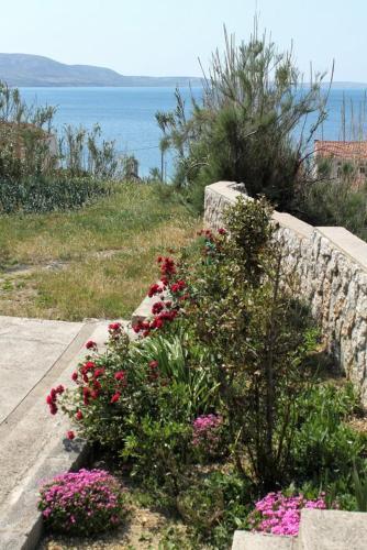 Apartamentos Studio Metajna 208b
