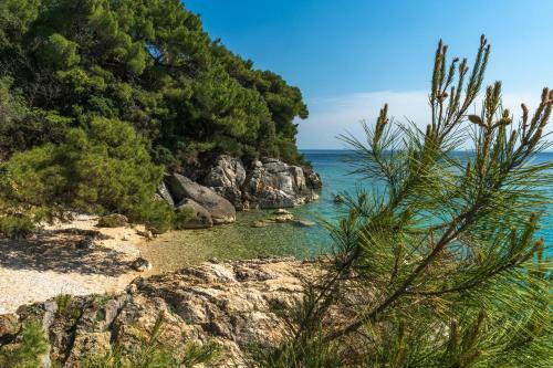 Apartments With Privat Beach And Boat Dock