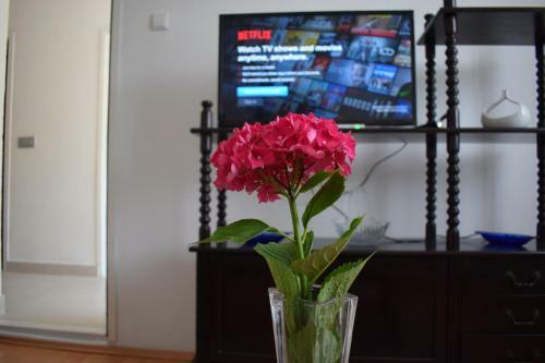 Apartment Relax