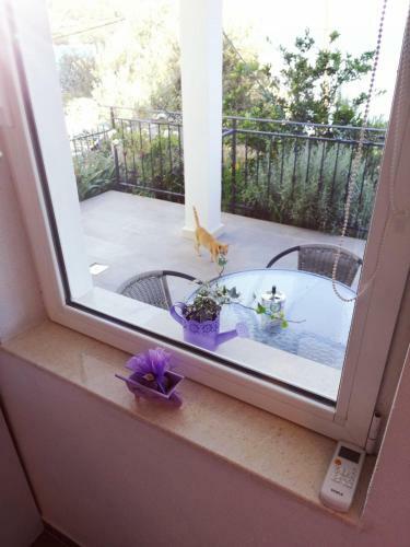 Apartmani Skalinada