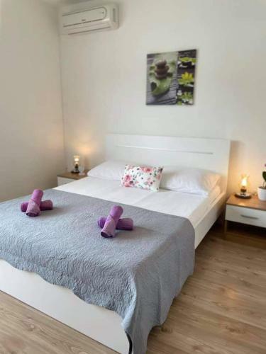 Apartman & Rooms Draga