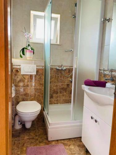 Apartman & Rooms Draga