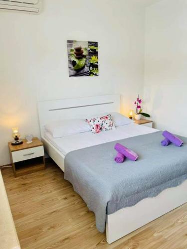 Apartman & Rooms Draga