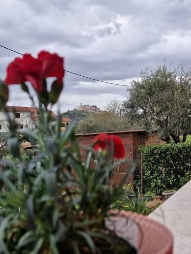 Apartman Sandro