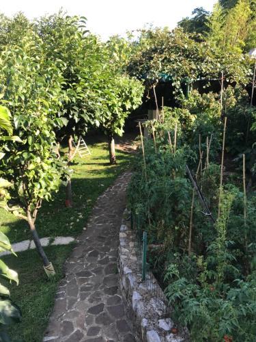 Studio Apartman Lavanda