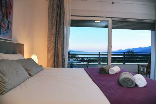 Apartmani Valis