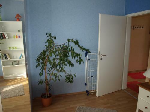 Apartamento Ferienwohnung Rademacher