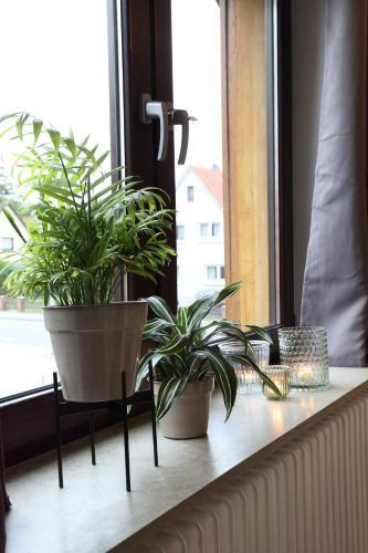 Apartamento Ferienwohnung St�ckel 2