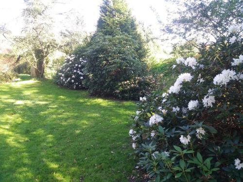 G�stehaus Am Brockeswald