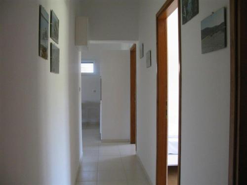 Apartment Palit 16356b