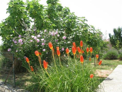 Apartment Palit 16356b