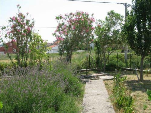 Apartment Palit 16356b