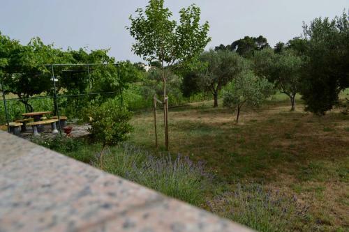 Apartman Tami - Rab