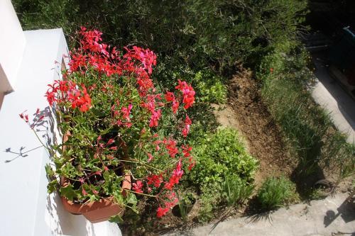 Apartments With A Parking Space Palit, Rab - 4957