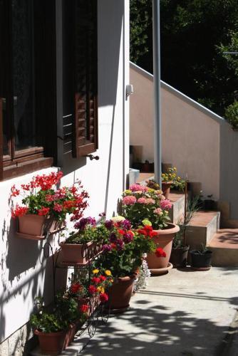 Apartments With A Parking Space Palit, Rab - 4957