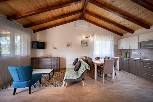 House Olive Tree