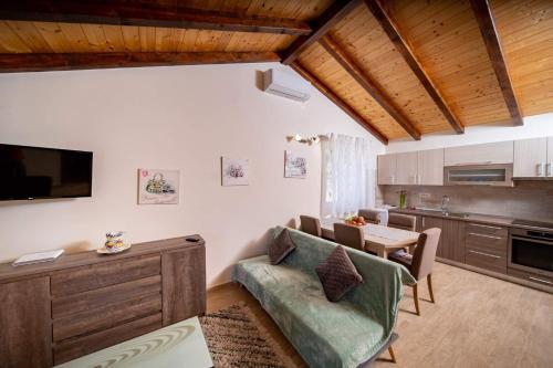 House Olive Tree