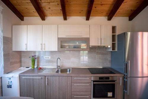 House Olive Tree